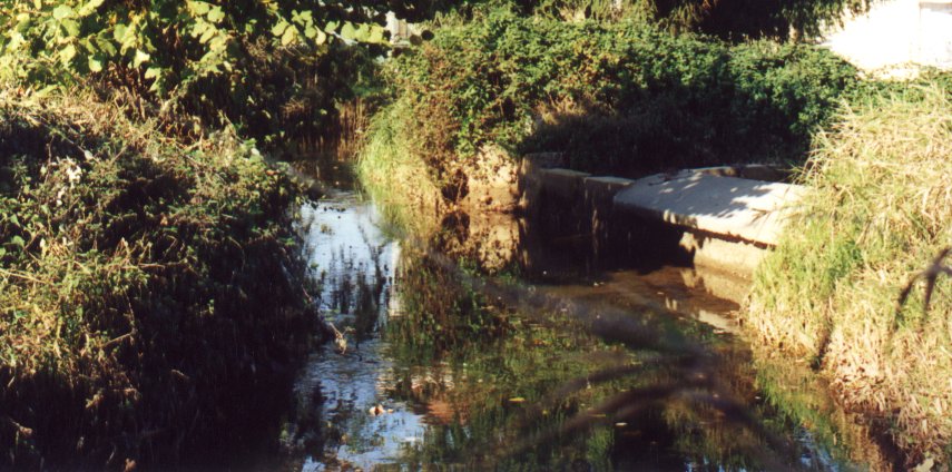 Immagine della Bialera(Naviglio) nei pressi del castello