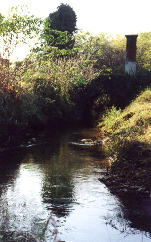 Immagine della Bialera(Naviglio) nei pressi del castello